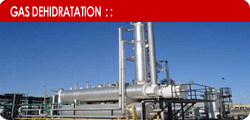 TEG Gas Dehidratation